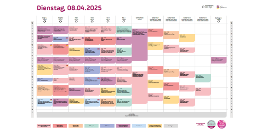 Programmplan DMA 2025