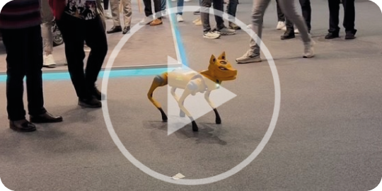 Playbutton Hund
